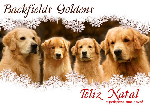 Feliz Natal do Backfields Goldens