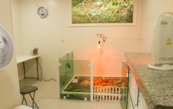Galeria de Imagens: Espaço especial: Nossa maternidade climatizada para nossos recém nascidos